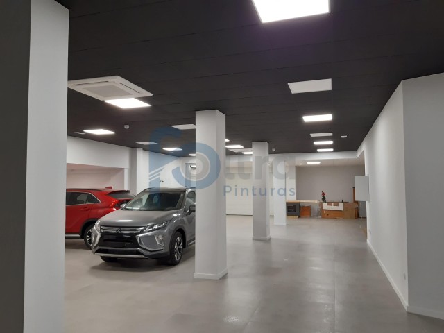 Pintado techo y paredes concesionario