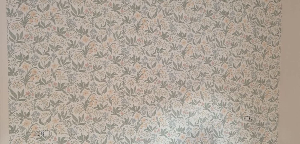 Aplicación de Pinturas